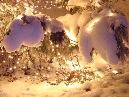 Winter snow Winter snow