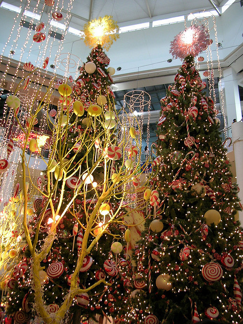 Christmas Trees