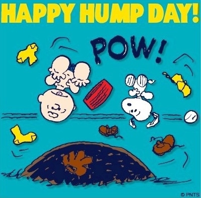 Happy Hump Day