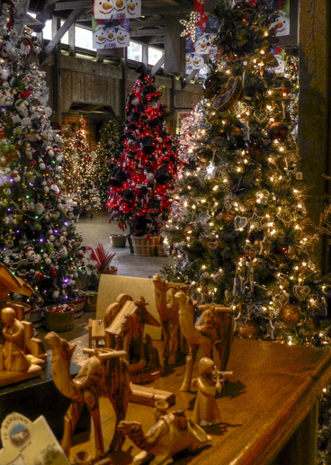 Christmas trees