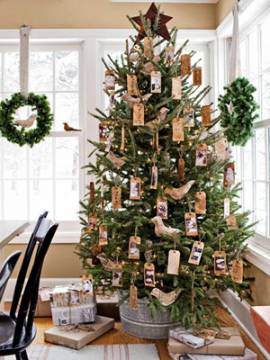 Charming tree Charming tree