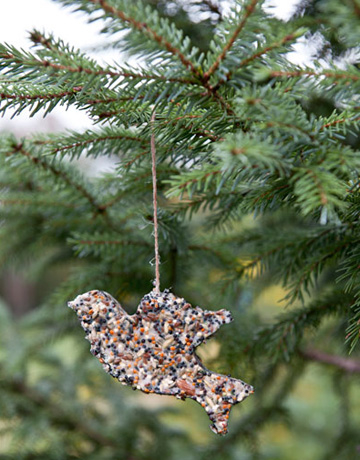 Homemade bird seed ornament