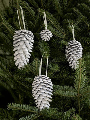 Pinecones