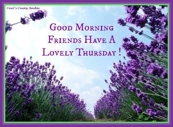 have a lovely thursday