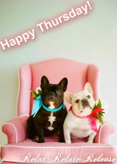 Happy Thursday