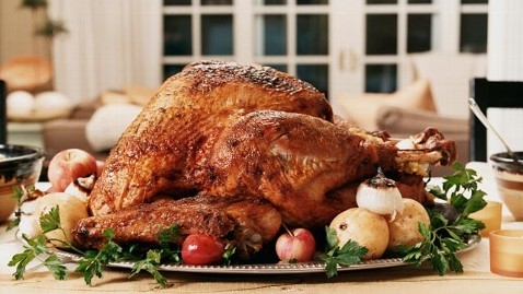 Thanksgiving Turkey Thanksgiving Turkey