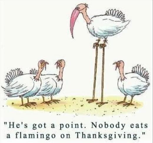 Turkeys in disguise Turkeys in disguise
