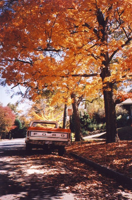 autumn afternoon autumn afternoon
