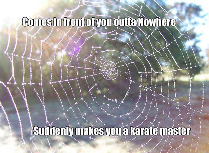 karate master karate master