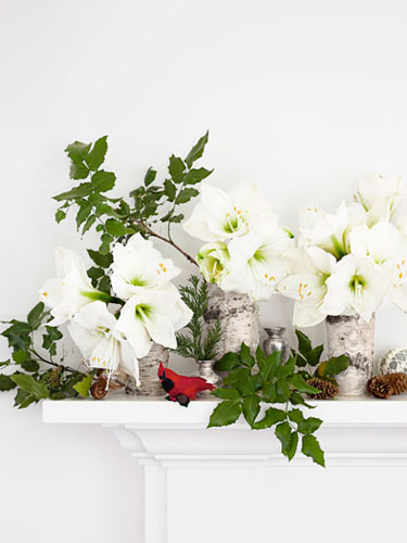 Festive touch