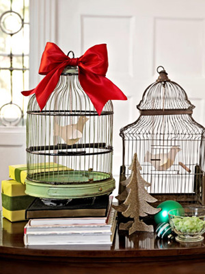 Birdcages Birdcages