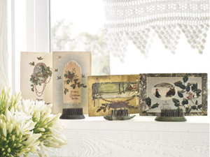 Windowsill display