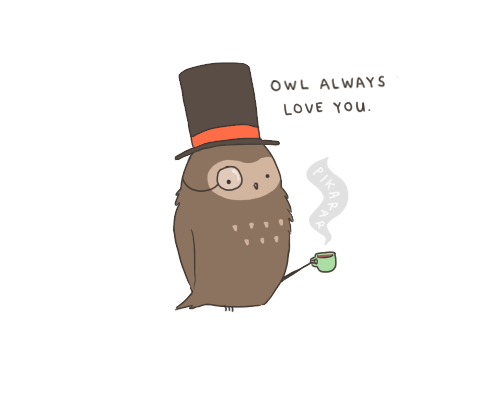 Owl always love you Owl always love you