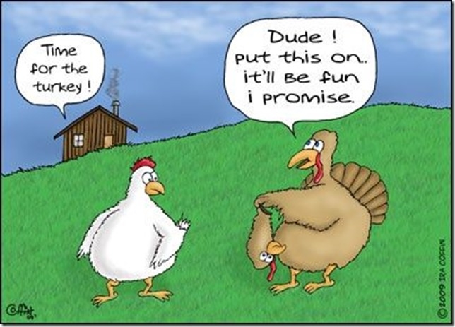 Setting up the chicken