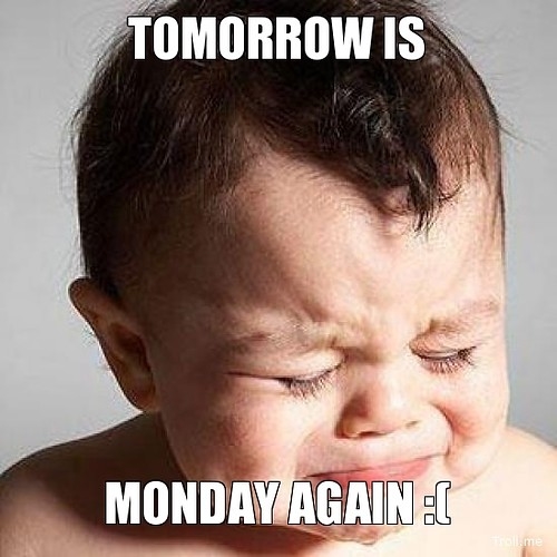 tomorrows monday tomorrows monday