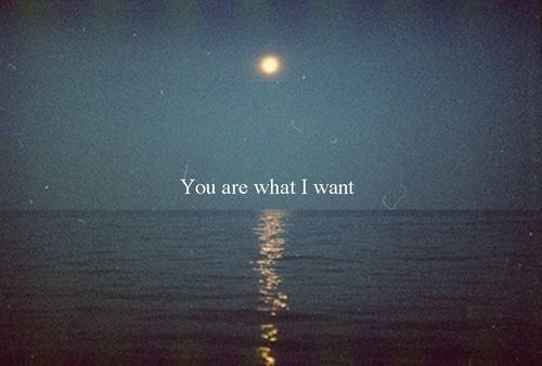 You are what I want You are what I want