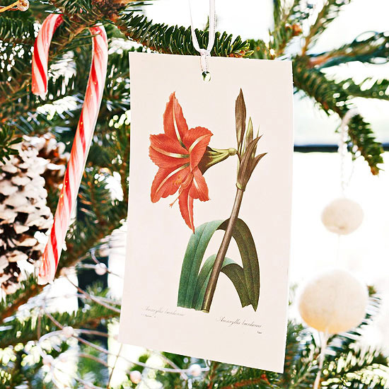 Postcard ornaments