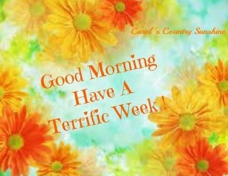 Have a Terrific Week