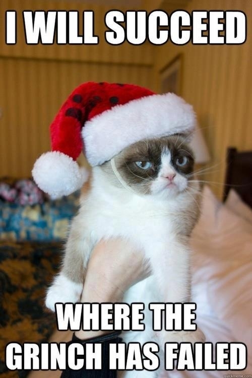 Grinchy Cat Grinchy Cat