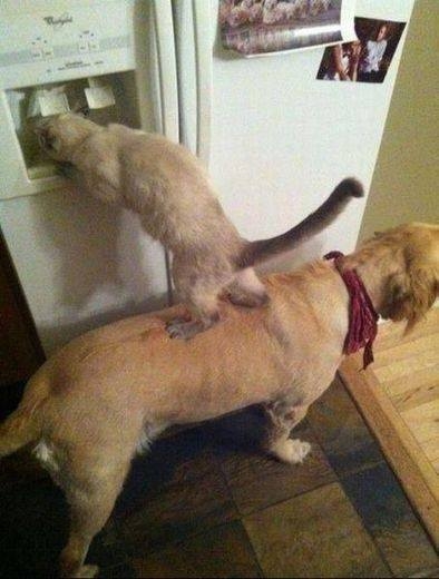 Team Work