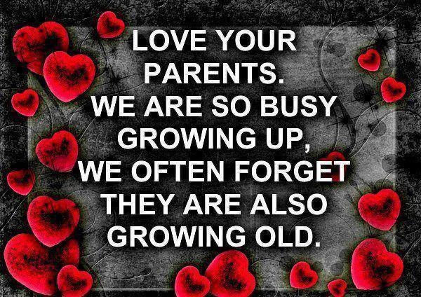 Love your parents