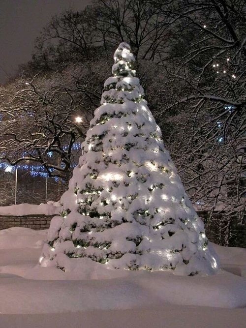 White christmas tree White christmas tree