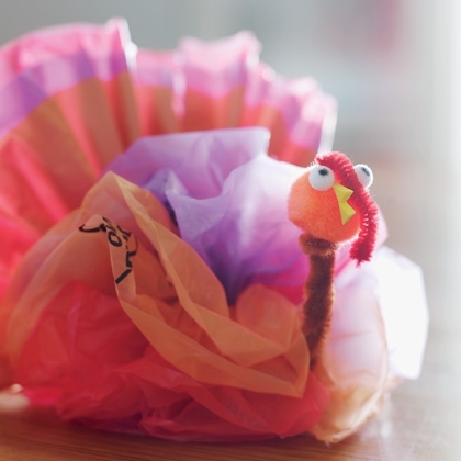 Plastic bag turkey