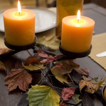 Waxed leaves