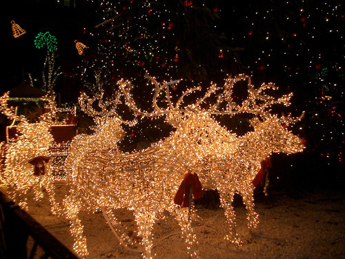 Reindeer lights