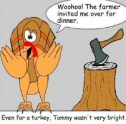 dumb turkey