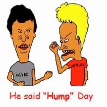 he said hump day he said hump day