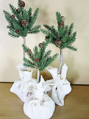 Pine tree topiary Pine tree topiary
