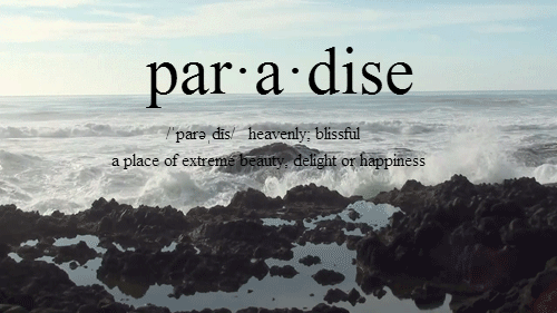 Paradise Paradise