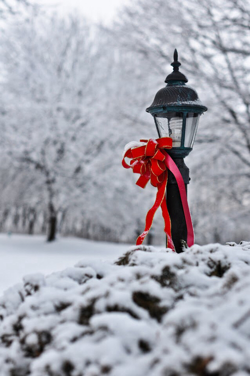 Red ribbon lamp post