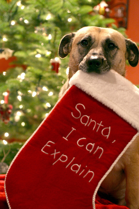 Santa, I can explain Santa, I can explain