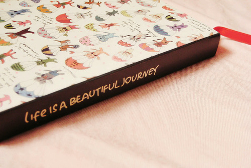 Life is a beautiful journey Life is a beautiful journey