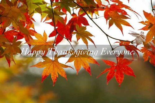 Happy Thanksgiving