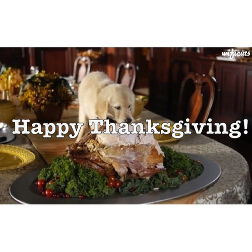 Happy Thanksgiving