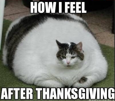 How I feel after Thanksgiving How I feel after Thanksgiving
