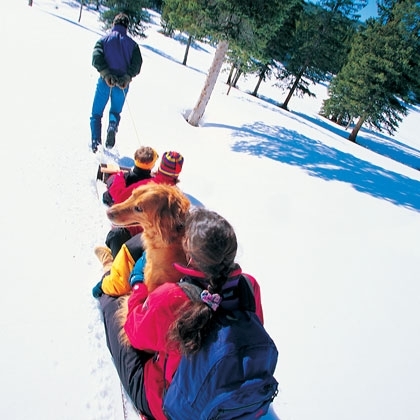 Sled pulling competition