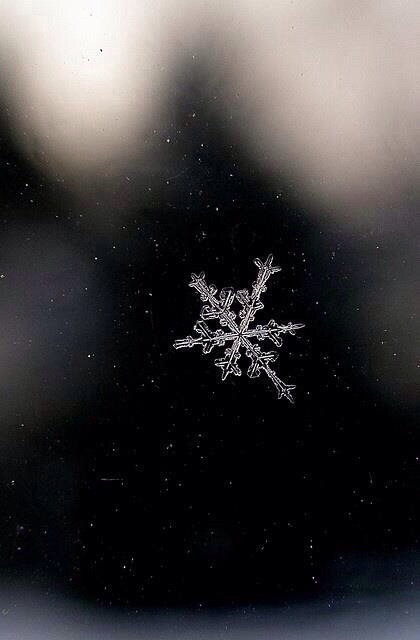 Single snowflake