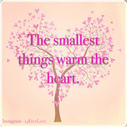 The smallest things warm the heart The smallest things warm the heart