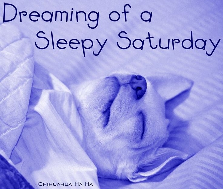 sleepy Saturday sleepy Saturday
