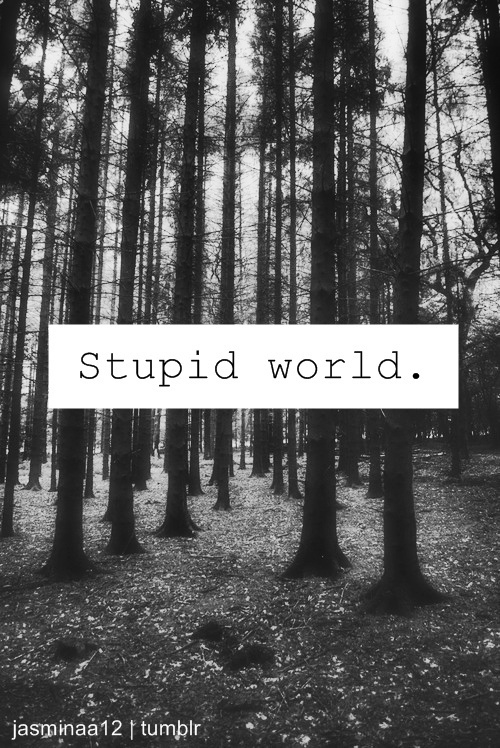 Stupid world