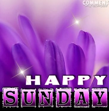 happy sunday happy sunday