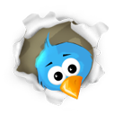twitter bird