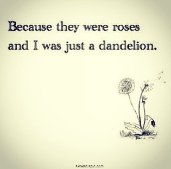 Dandelion Dandelion