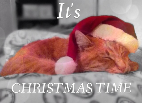 Its christmas time