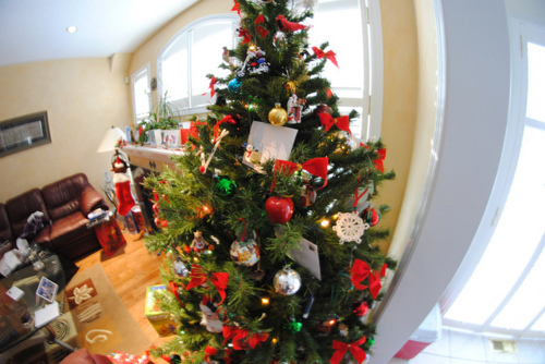 Christmas tree Christmas tree