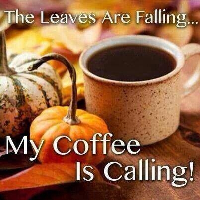 the leaves are falling